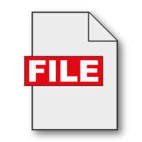The File